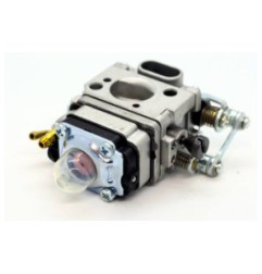 Carburateur Ech PB500T