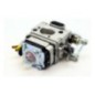 Carburateur Ech PB500T