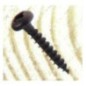 Black Alomada Head Showon