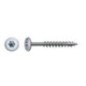 Tirafondo Torx avec une laveuse de Force Wirox
