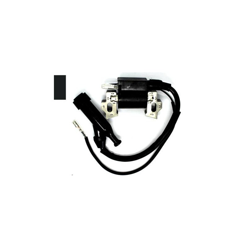 Honda Ignition Coil GX160 / 168F? GX110 & GX140 GX120 GX160 & GX200