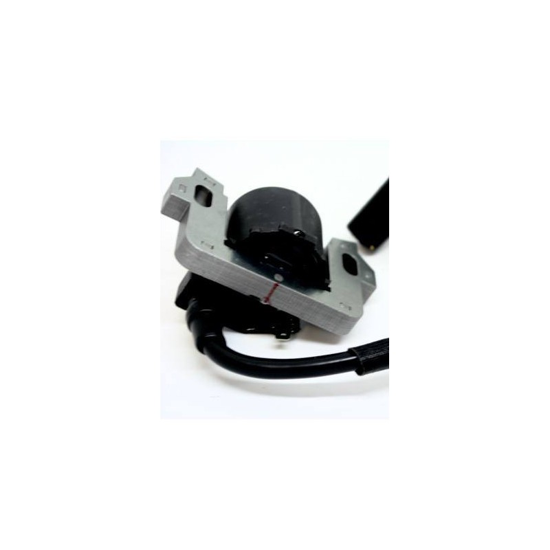 Honda GC135 GC160 GCV135 GCV160 GCV190 Motor Light