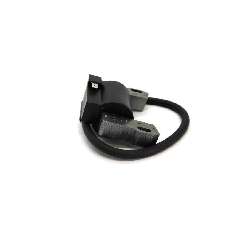 Bobine d'allumage B&S 843931 799651 691060 844548 845606