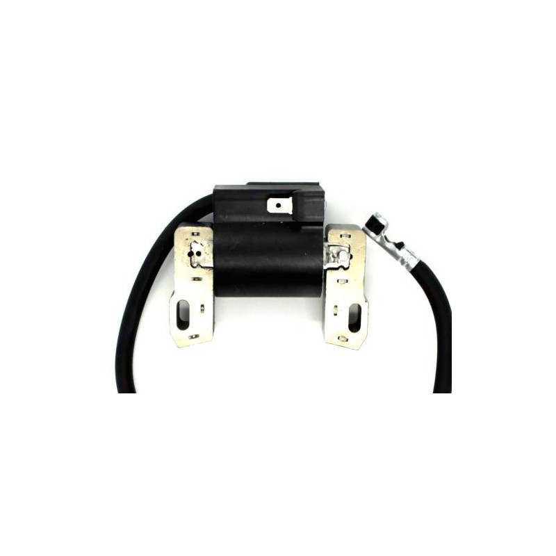 Bobine sur le Cortation B&S 845126 843327 613477 542477 543477 473177 35HP
