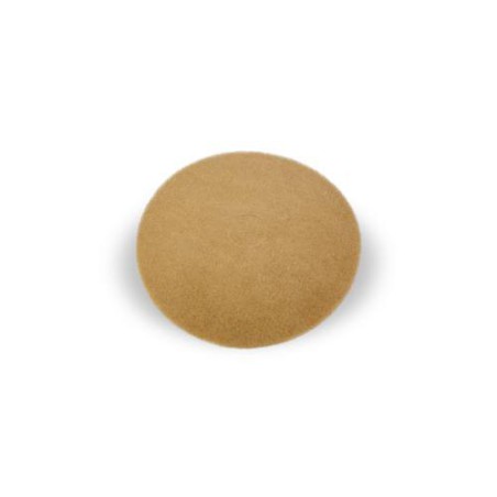 Scome Ruby à 50 cm douce