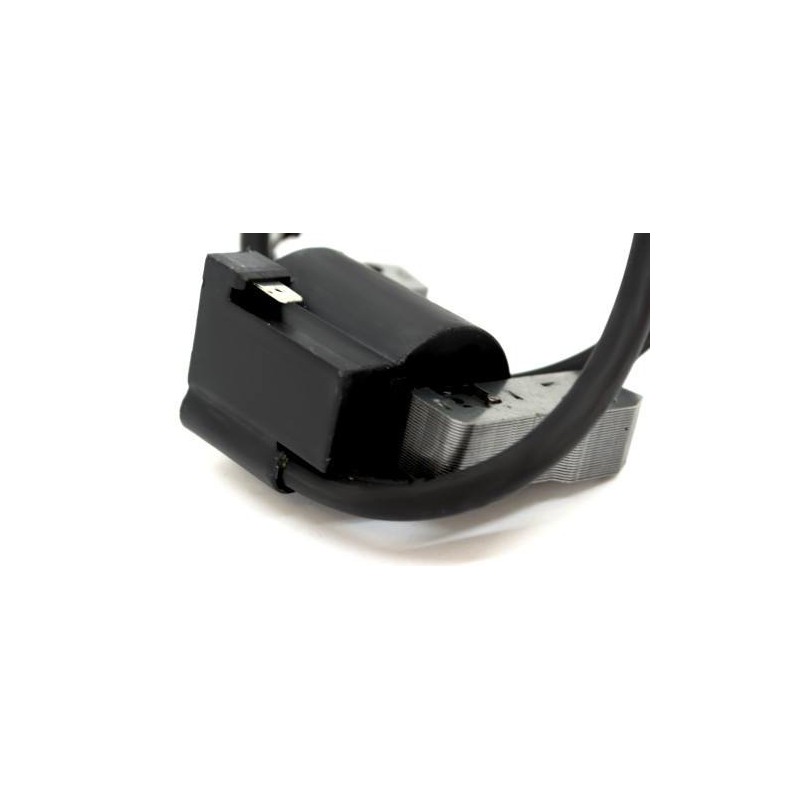 Cortation B&S de bobine d'allumage 398811 395492 398265 298968