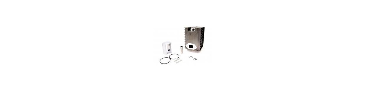 Bobines d'allumage pour compacteur de sol